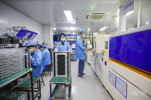 福州新能源產業加速技術研發，構建綠色經濟新引擎
