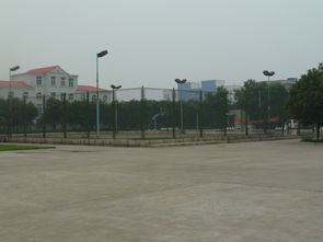焦作高新技術(shù)創(chuàng)業(yè)服務(wù)中心 構(gòu)建全方位技術(shù)服務(wù)平臺(tái)，賦能企業(yè)創(chuàng)新成長(zhǎng)